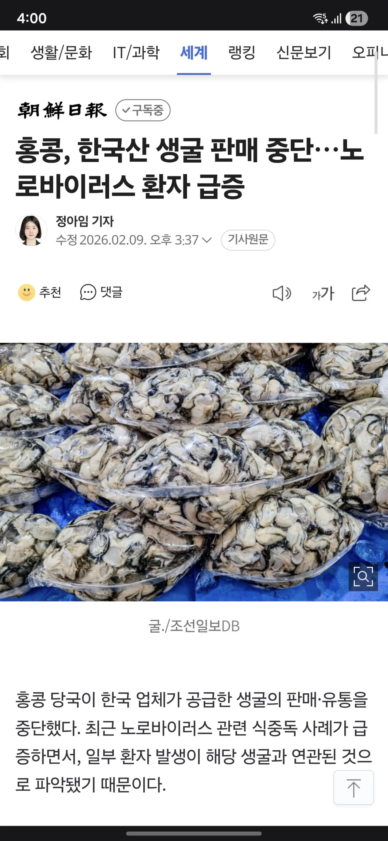 홍콩, 한국산 생굴 판매 중단…노로바이러스 환자 급증